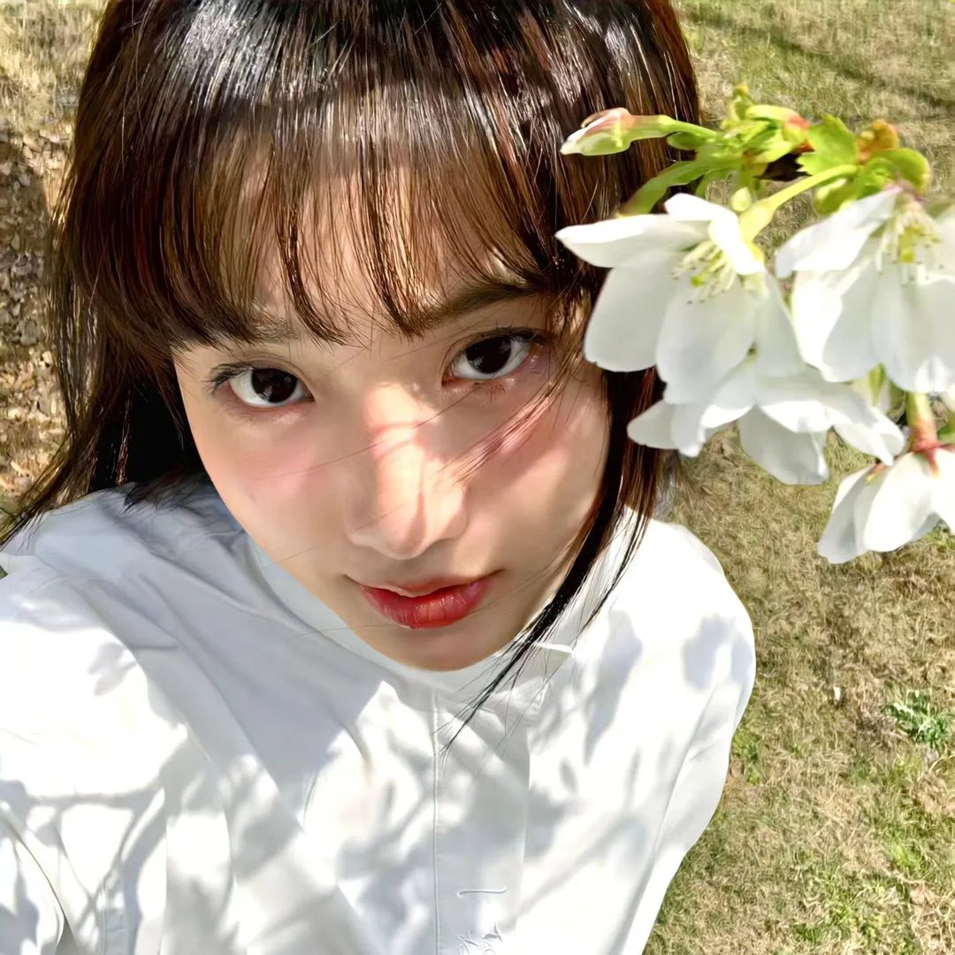 艾拉妮丝